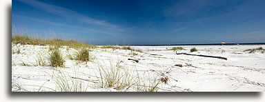 Sandy Ship Island::Ship Island, Mississippi, United States::