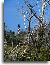 Cape Hatteras Lighthouse #1::North Carolina, United States::