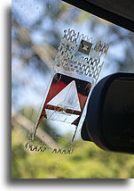 Vehicle permit sticker removed::Remaining of the Mexican vehicle permit sticker on the windshield::