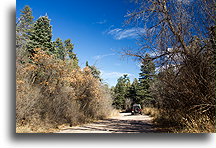 Rt.165 in Sandia Mountains::New Mexiso, USA::