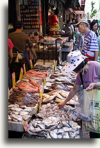 Frozen Fish::New York City, USA::