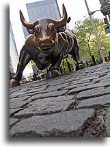 Charging Bull::New York City, USA::