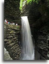 Watkins Glen