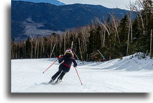 Wilmigton Trail::Whiteface, NY, USA::