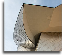 Steel Roof::Cleveland, Ohio, USA::