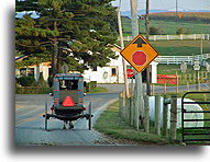 Buggy #2::Lancaster County, Pennsylvania, United States::