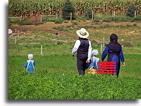 Amish Family::Lancaster County, Pennsylvania, United States::