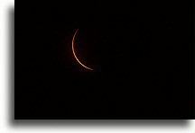 Near Totality::Francis Marion National Forest, South Carolina, United States::