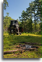 The sky is blue::Francis Marion National Forest, South Carolina, USA::