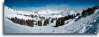 Greely Bowl::Alta, Utah, United States::