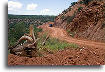 Beef Basin Road #1::Beef Basin, Utah, USA::