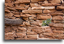 Indian ruins #2::Beef Basin, Utah, USA::