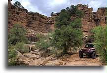 Road to Canyonlands #2::Beef Basin, Utah, USA::