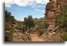 Road to Canyonlands #3::Beef Basin, Utah, USA::