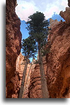 Bryce Canyon