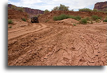 Driving the wash::Island in the Sky, Canyonlands, Utah, USA::