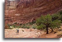 Grand Wash #3::Capitol Reef, Utah, USA::