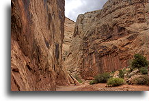 Grand Wash #6::Capitol Reef, Utah, USA::