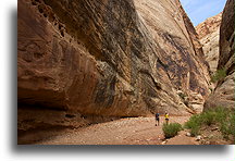 Grand Wash #8::Capitol Reef, Utah, USA::