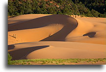 Crescent-shaped Dune::Coral Pink Sand Dunes, Utah, USA::