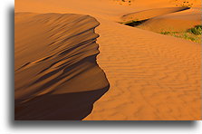 Coral Pink Sand Dunes