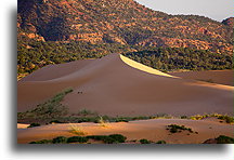 Sand Dune at Sunset::Coral Pink Sand Dunes, Utah, USA::