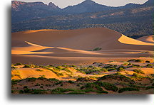 People on the Dune::Coral Pink Sand Dunes, Utah, USA::