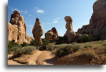 Needles in Canyonlands::Canyonlands, Utah, USA::