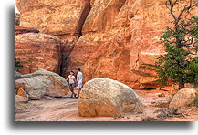 High Rock Formations #2::Needle District in Canyonlands, Utah, USA::