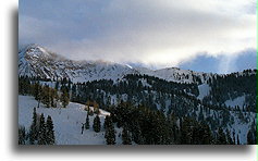 American Fork::Snowbird, Utah, United States::