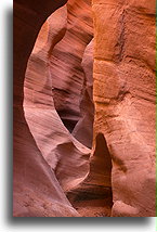 Peek-A-Boo Slot Canyon #7::Grand Staircase Escalante, Utah, USA::