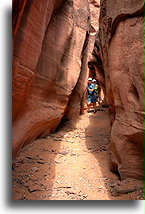 Spooky Slot Canyon #11::Grand Staircase-Escalante, Utah, USA::