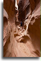 Coyote Gulch #19::Grand Staircase Escalante, Utah, USA::