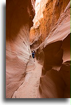 Coyote Gulch #20::Grand Staircase-Escalante, Utah, USA::