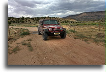 Left Hand Collet Road::Grand Staircase-Escalante, Utah, USA::