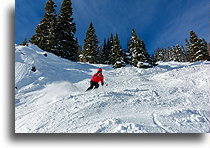 Down the Hoback Trail::Jackson Hole, Wyoming, USA::