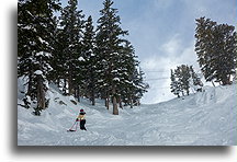 Alta Chutes::Jackson Hole, Wyoming, USA::