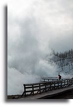 Biscuit Basin #2::Geysers in Yellowstone, United States::