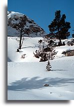 Mound and Jupiter Terrace::Mammoth Hot Springs, Yellowstone, Wyoming, United States::