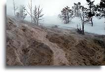 Palette Spring::Mammoth Hot Springs, Yellowstone, Wyoming, United States::