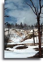 Angel Terrace #1::Mammoth Hot Springs, Yellowstone, Wyoming, United States::