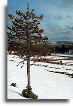 Madison Valley::Yellowstone, Wyoming, United States::