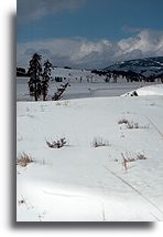 Lamar Valley::Yellowstone, Wyoming, United States::