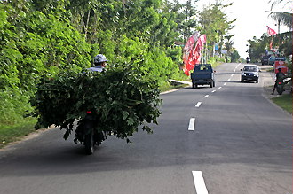 Skuter na wyspie Bali::Indonezja posiada ruch lewostronny za przyczyną Holendrów::