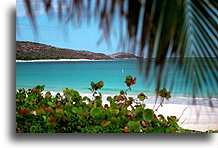 Plaża Flamenco::Wyspa Culebra, Puerto Rico, Karaiby::