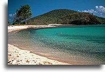 Plaża Carlos Rosario::Wyspa Culebra, Puerto Rico, Karaiby::