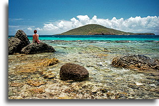 Siedząc na rafie::Wyspa Culebra, Puerto Rico, Karaiby::