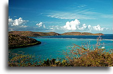 Południowe wybrzeże::Wyspa Culebra, Puerto Rico, Karaiby::