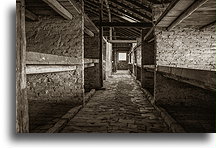 Beds brick barrack::Auschwitz Concentration Camp::