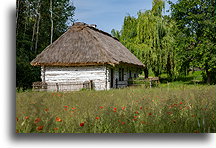 Dom bielony::Park Etnograficzny w Tokarni, Świętokrzyskie, Polska::